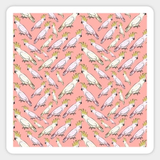 Cockatoo Pattern - Australian Native Birds Sticker